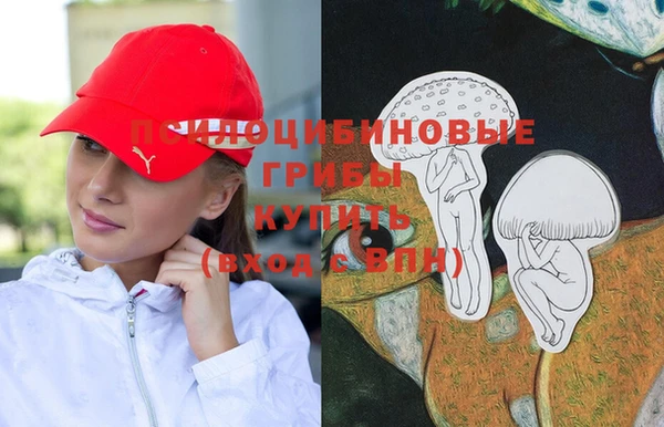 круглые Абаза