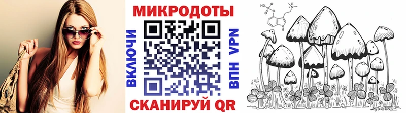 Псилоцибиновые грибы прущие грибы  Суздаль 